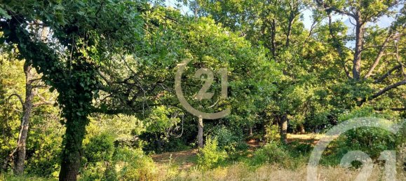  قطعة أرض في Olmi-Cappella, France رقم 217064 4