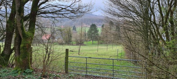 Terreno em Lippe, Germany N.º 183823 9