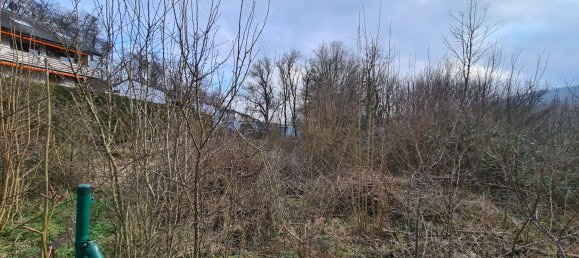 Terreno em Lippe, Germany N.º 183823 5