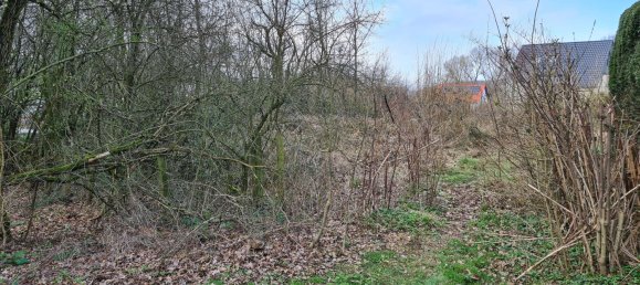 Terreno em Lippe, Germany N.º 183823 8