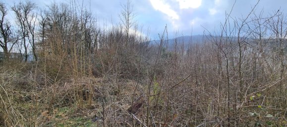 Terreno em Lippe, Germany N.º 183823 6