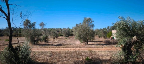 Terrain à Esslingen, Germany No. 304855 2