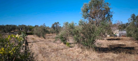 Terrain à Esslingen, Germany No. 304855 4