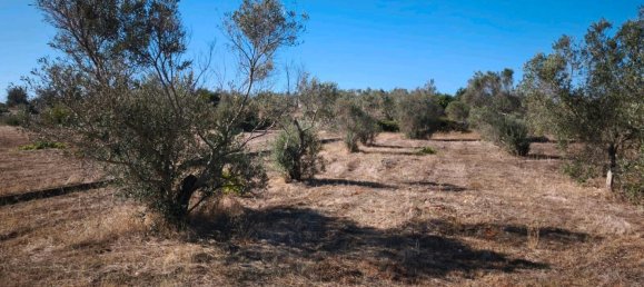 Terrain à Esslingen, Germany No. 304855 3