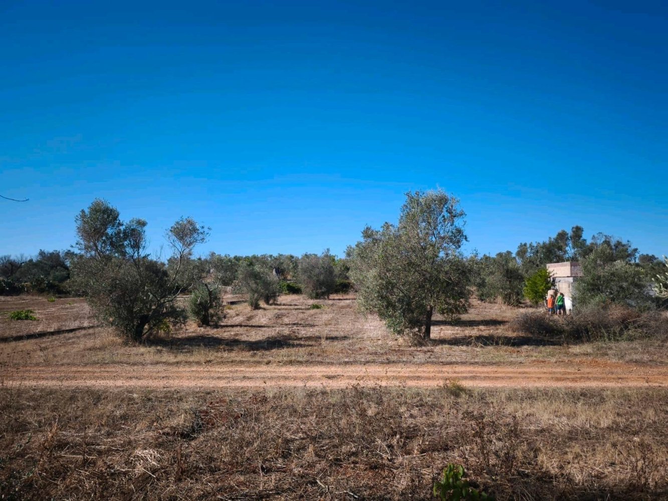 Terrain à Esslingen, Germany No. 304855