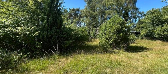 Adosado de 7 habitaciónes en Nienburg, Germany No. 317006 8