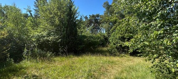 Adosado de 7 habitaciónes en Nienburg, Germany No. 317006 7