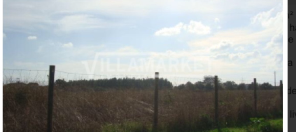 Grundstück in Montijo, Portugal 59880m², Nr. 43553 5