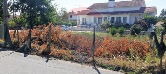 795m² Land in Tondela, Portugal No. 39396 5