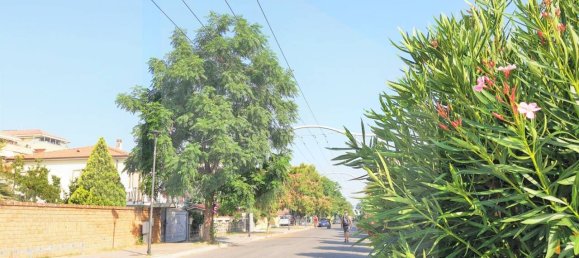 4 rooms Apartment in Montesilvano, Italy No. 20017 2