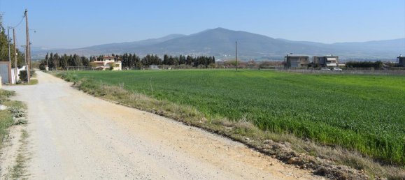 27000m² Hotel in Epanomi, Greece No. 5002 5