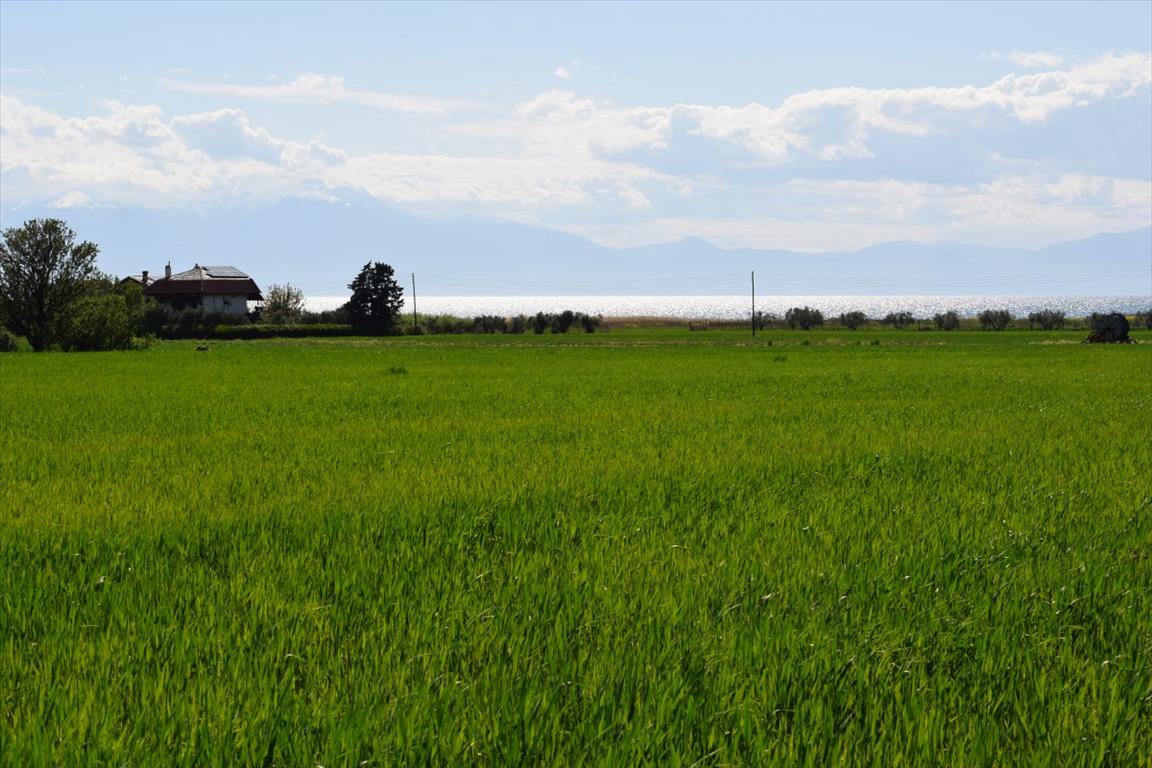 Hotel in Epanomi, Greece 27000m², Nr. 5002