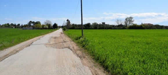 27000m² Hotel in Epanomi, Greece No. 5002 6