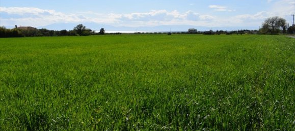 27000m² Hotel in Epanomi, Greece No. 5002 8