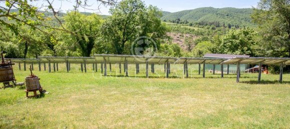 14 bedrooms Castles in Passignano sul Trasimeno, Italy No. 233384 21