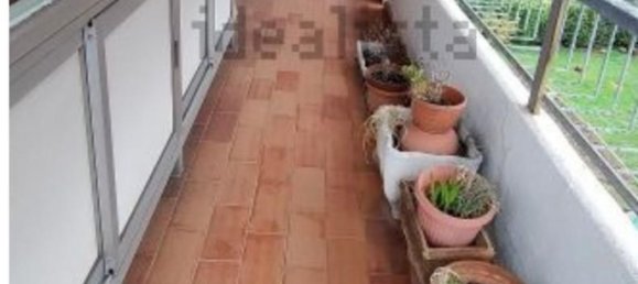 5 rooms Apartment in Massa, Italy No. 192987 13