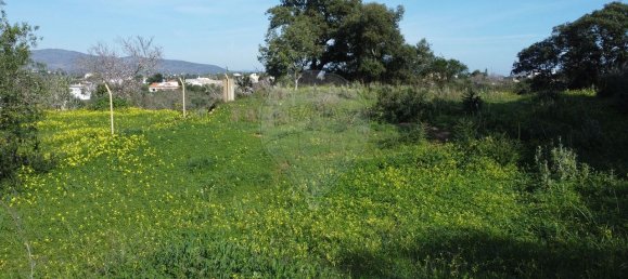 1100m² Land in Olhao, Portugal No. 63831 19