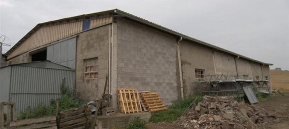 Studio in Murlo, Italy, Nr. 1478 3