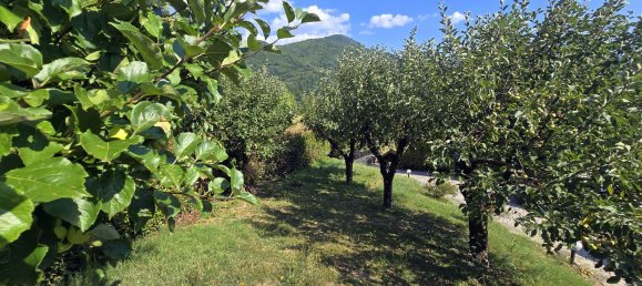 9 bedrooms House in San Marcello Piteglio, Italy No. 341659 11