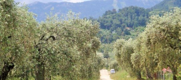 Hotel in Thasos, Greece 1000m², Nr. 5755 2