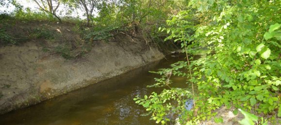 756m² Land in Blumau-Neurisshof, Austria No. 135179 7