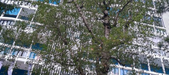 350m² Commercial property in Collegno, Italy No. 277833 4