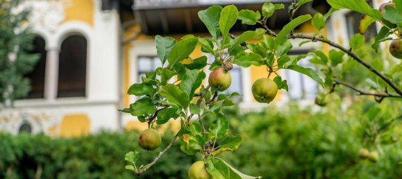 7-Zimmer Wohnung in Gmunden, Austria, Nr. 239703 29