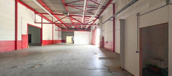  عقار تجاري في County of Bentheim, Germany 10859متر مربع رقم 140828 18