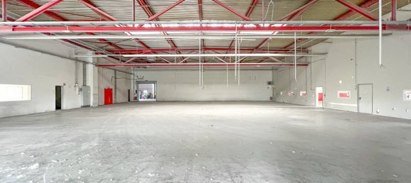  عقار تجاري في County of Bentheim, Germany 10859متر مربع رقم 140828 23