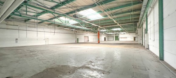  عقار تجاري في County of Bentheim, Germany 10859متر مربع رقم 140828 28