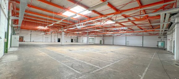  عقار تجاري في County of Bentheim, Germany 10859متر مربع رقم 140828 27