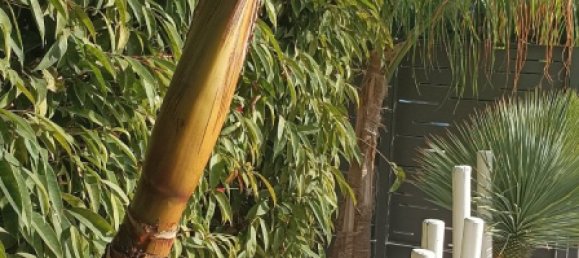 Maisonette de 2 dormitorios en Pernera, Cyprus No. 26442 6