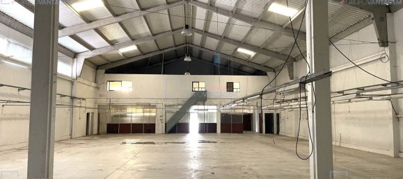 Lagerhaus in Santa Maria da Feira, Portugal 1174m², Nr. 9367 7