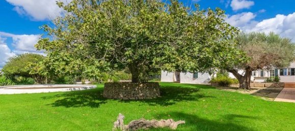 Дом с 7 спальнями в Менорка, Испания № 86485 8