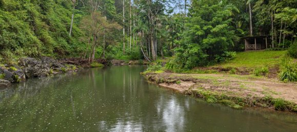 2 bedrooms Farm in The Channon, Australia No. 788 29