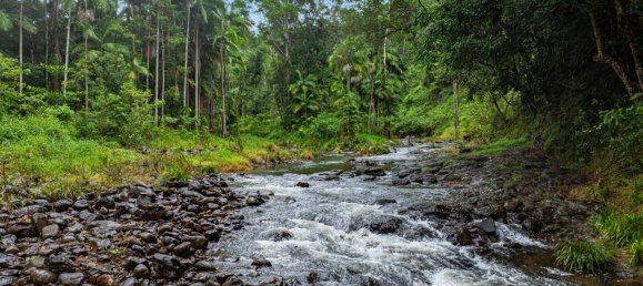 2 bedrooms Farm in The Channon, Australia No. 788 4