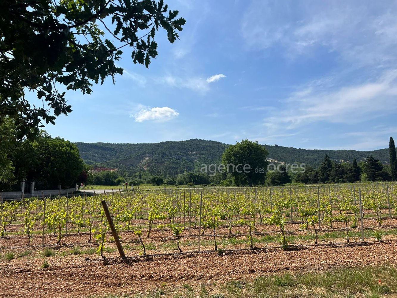 1800m² Land in Rustrel, France No. 62886