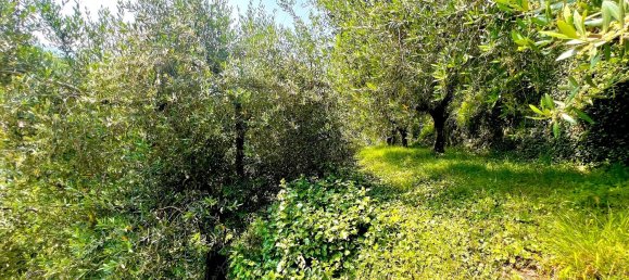 Земельный участок в Наго-Торболе, Италия № 311595 7