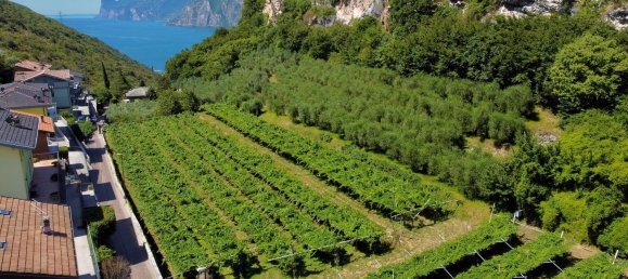 Земельный участок в Наго-Торболе, Италия № 311595 2