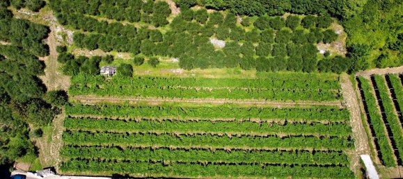 Земельный участок в Наго-Торболе, Италия № 311595 3