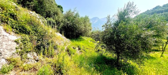 Земельный участок в Наго-Торболе, Италия № 311595 6