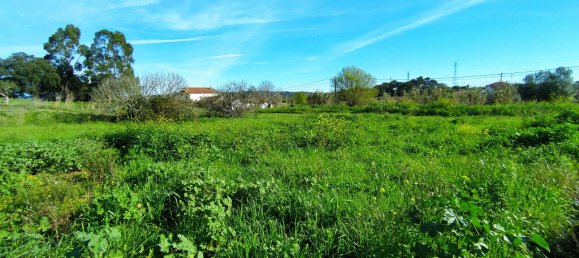 Terrain à Tomar, Portugal 2682m² No. 79583 10