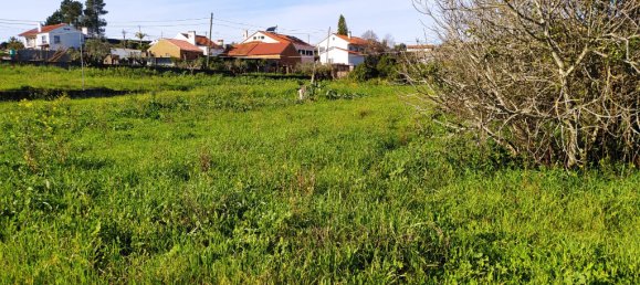 Terrain à Tomar, Portugal 2682m² No. 79583 3