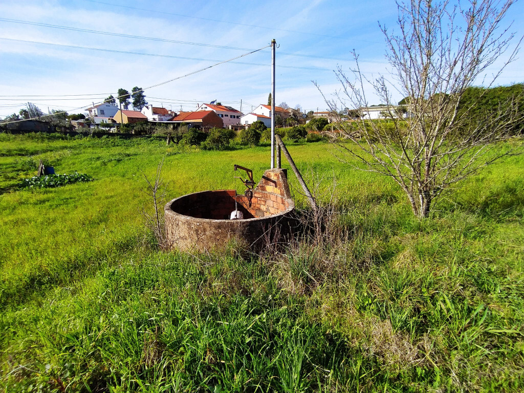 Terrain à Tomar, Portugal 2682m² No. 79583