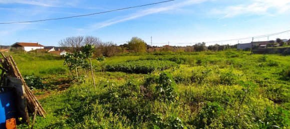 Terrain à Tomar, Portugal 2682m² No. 79583 13