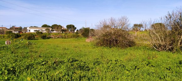 Terrain à Tomar, Portugal 2682m² No. 79583 9