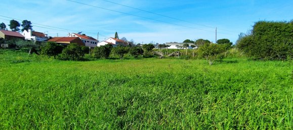 Terrain à Tomar, Portugal 2682m² No. 79583 7