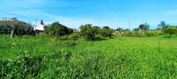 Terrain à Tomar, Portugal 2682m² No. 79583 8