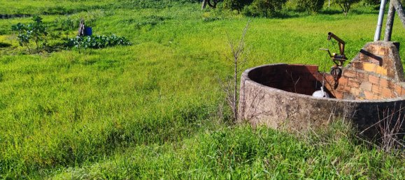 Terrain à Tomar, Portugal 2682m² No. 79583 5