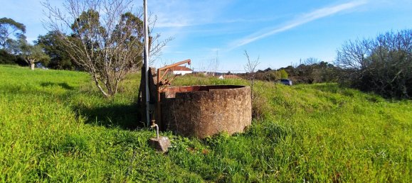 Terrain à Tomar, Portugal 2682m² No. 79583 4